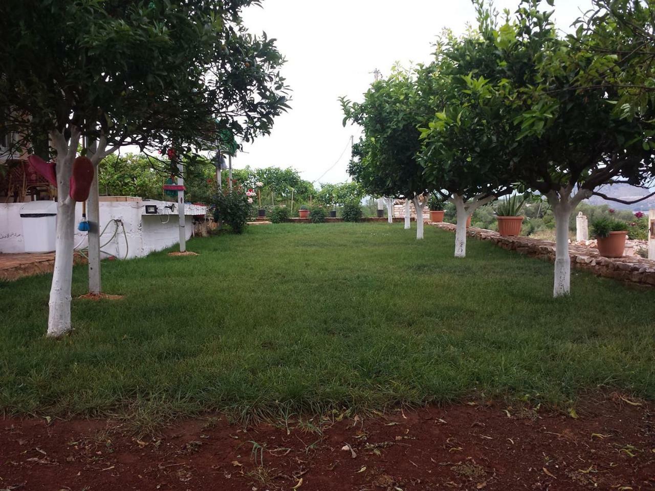 Vila Panorama Ксамил Екстериор снимка